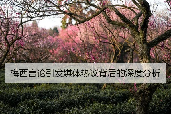 梅西言论引发媒体热议背后的深度分析